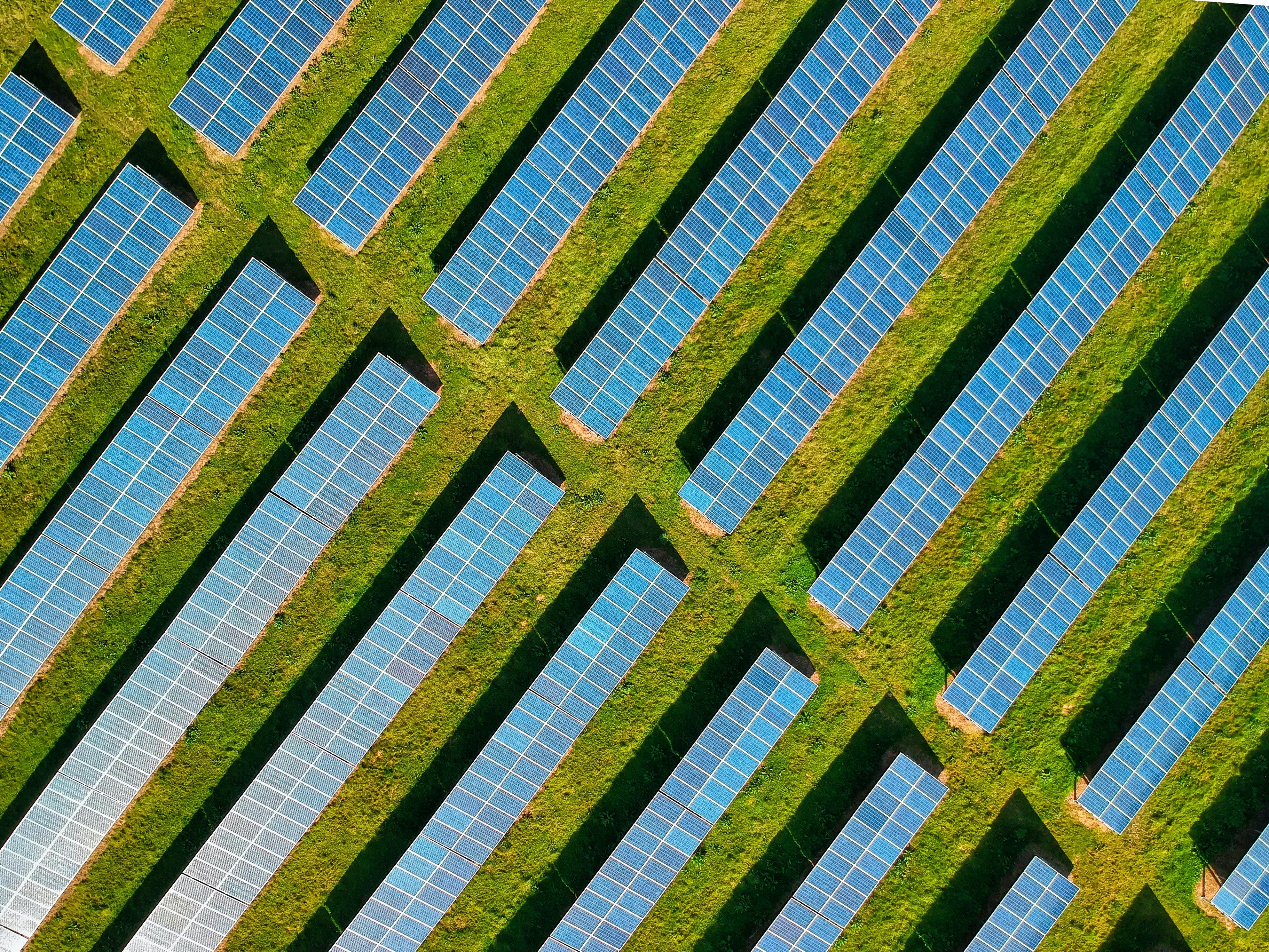 Aerial picture of solar panels in a field