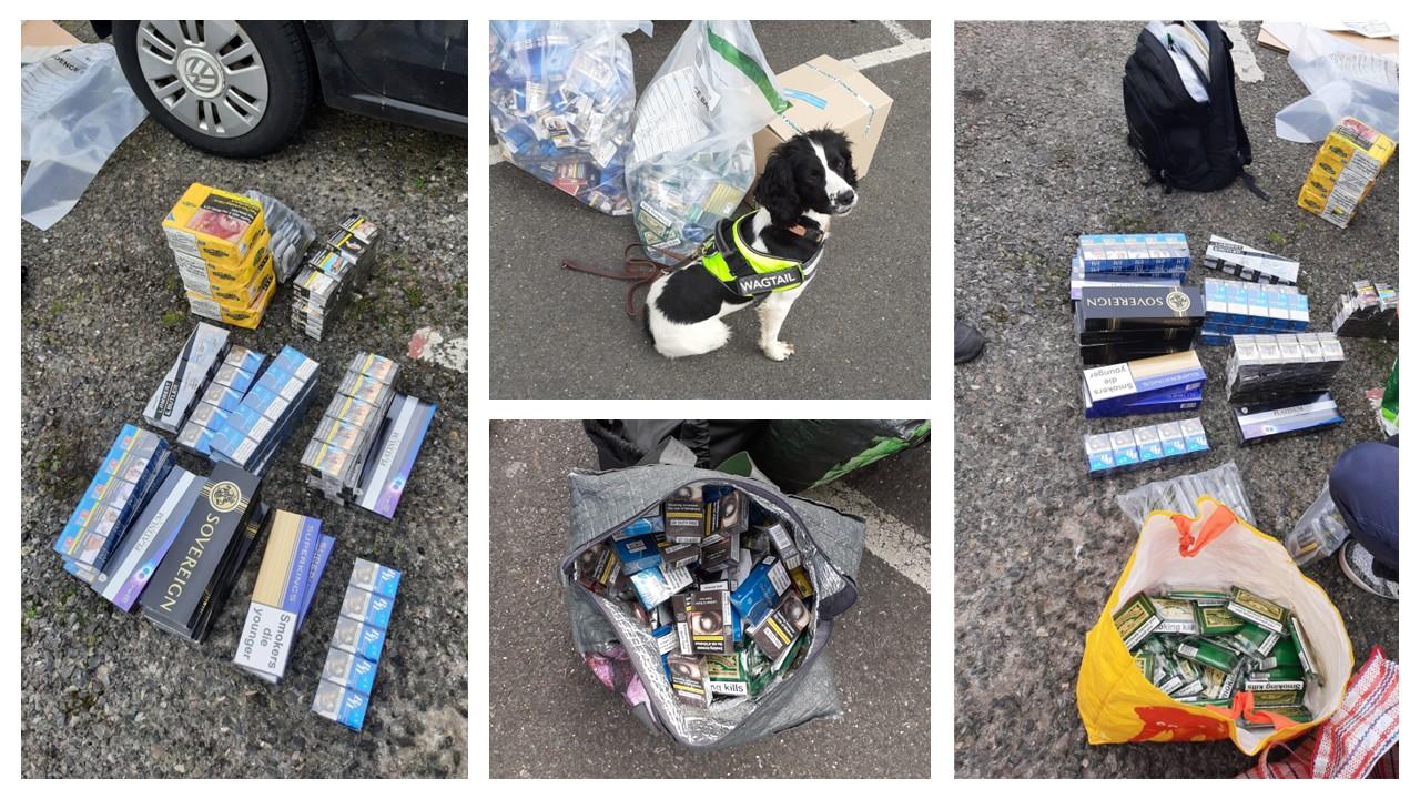 Illegal tobacco and vaping products seized during operation, with sniffer dog